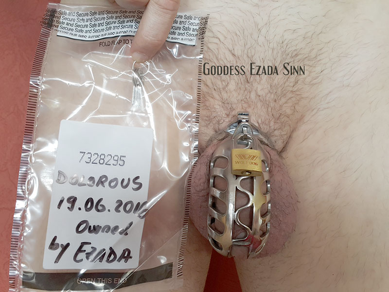 Chastity inspection with Tamper Evident Bank Bags (example)
