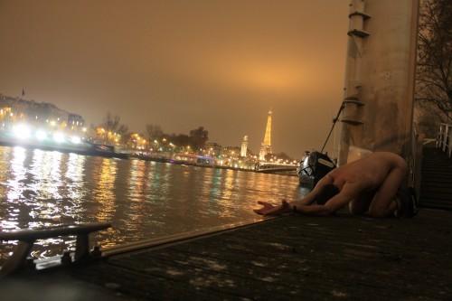 The Seine and Eiffel tower