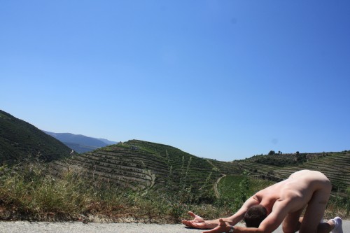 vineyards of Douro valley